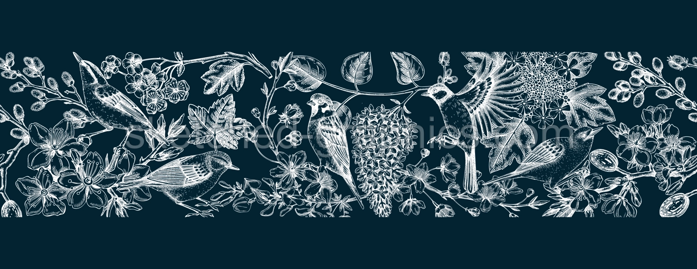 Spring seamless pattern in sketched style. Hand drawn birds and blooming tree branches ribbon. Cherry, almond, willow, rowan, currant, japanese quince, guelder rose, lilac in flowers on chalkboard. Illustration